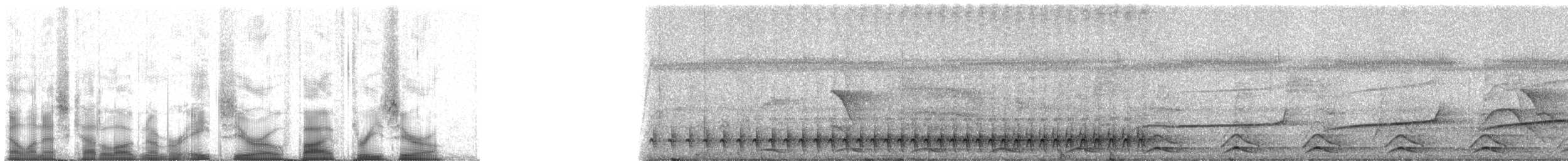 Black-tailed Trogon (Black-tailed) - ML80530