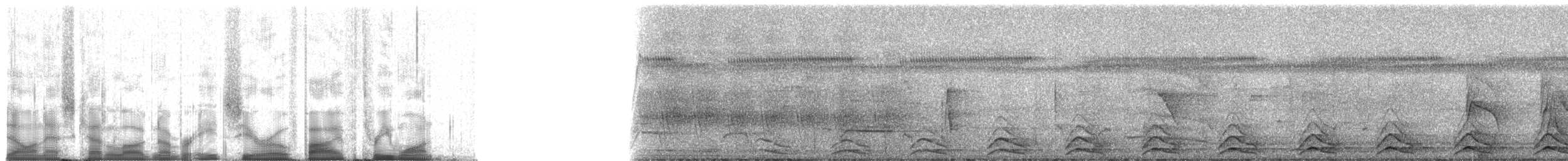 Trogón Colinegro Común (grupo melanurus) - ML80531