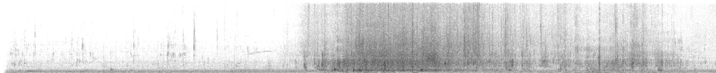 Пелікан бурий (підвид carolinensis) - ML80533521