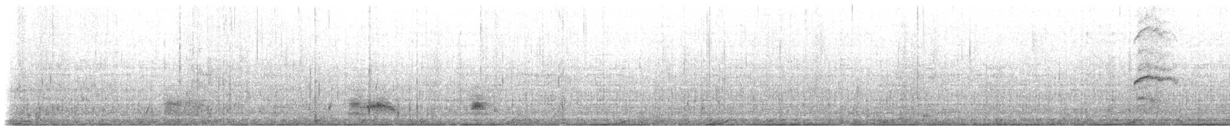 Пелікан бурий (підвид carolinensis) - ML80533711