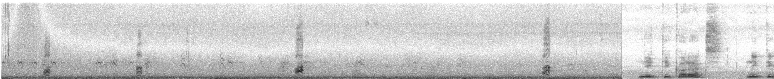 Ногоовор зашин - ML80577661