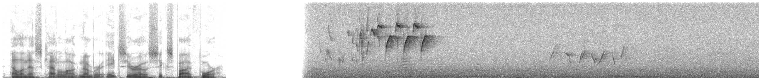 Doppelband-Nektarvogel - ML80654