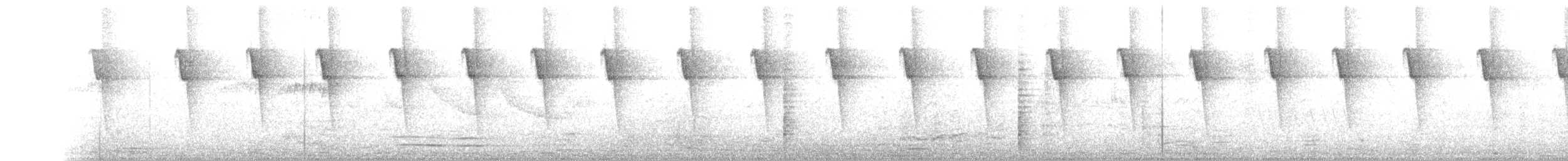 Солнечный колибри-отшельник - ML80656351