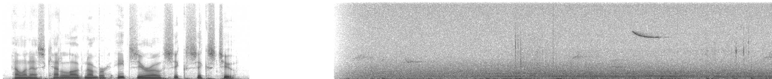 Olive Woodpecker - ML80662