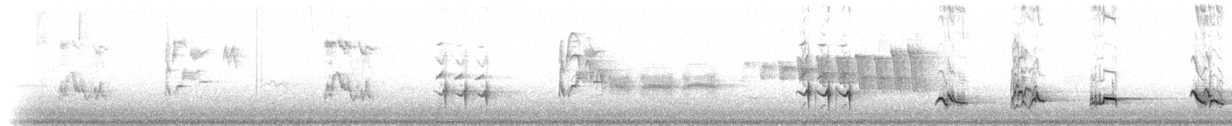 American Robin - ML80664551