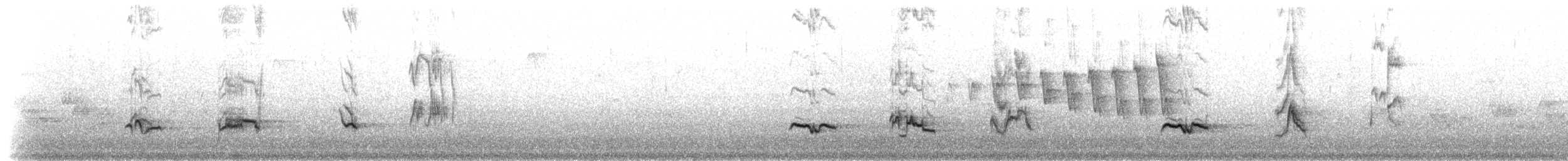 American Robin - ML80664851