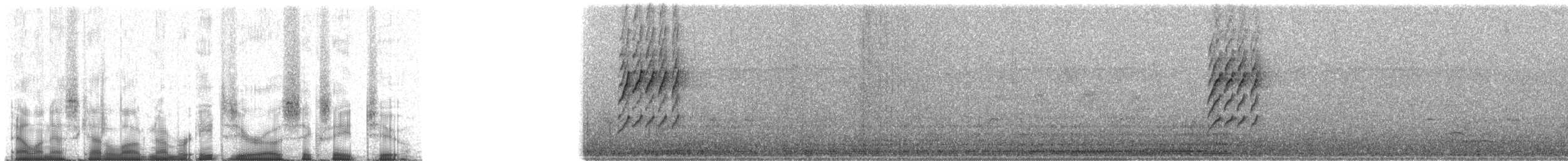 Серобрюхая нектраница - ML80682