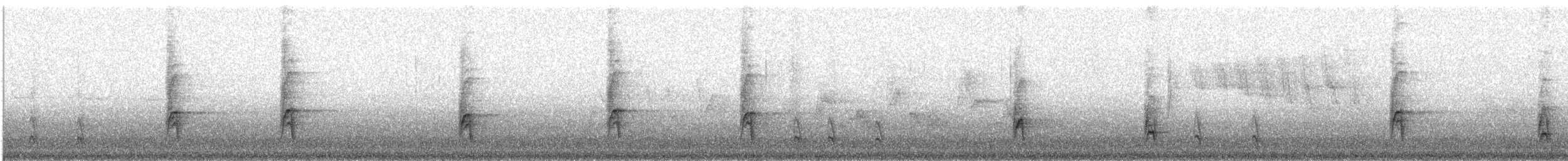 American Robin - ML80682141