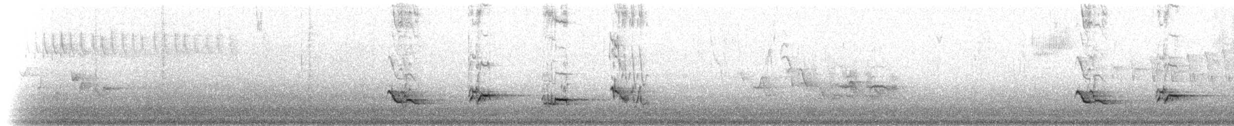 American Robin - ML80682821