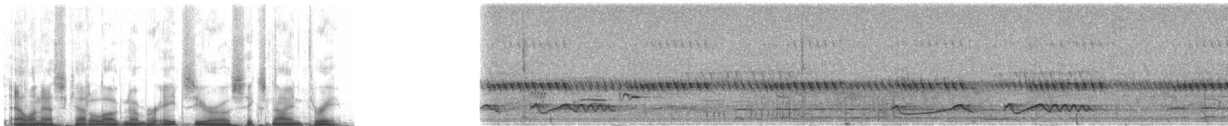 Ötücü Çobanaldatan [pectoralis grubu] - ML80693