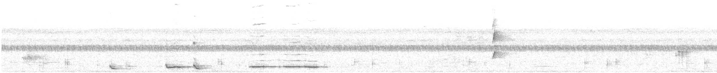 Gray Butcherbird - ML80730241