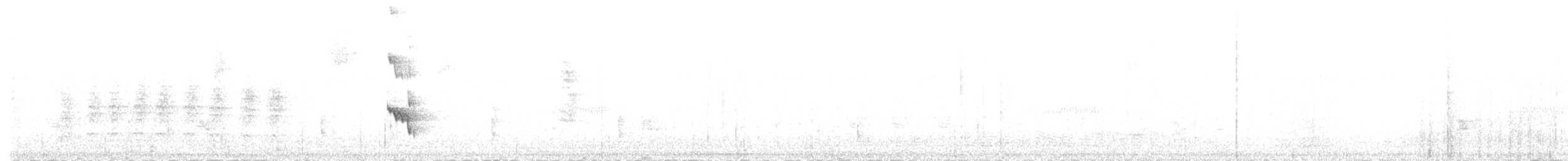 Pabuç Gagalı Tiran [mexicanus grubu] - ML80825761