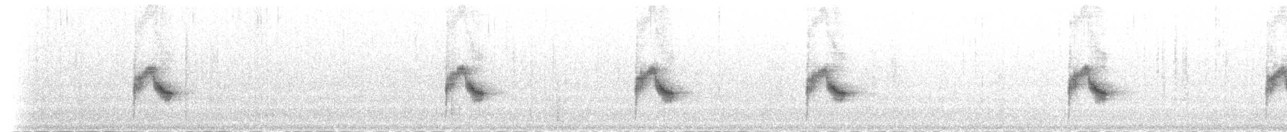 Каролинский крапивник (albinucha/subfulvus) - ML80827531