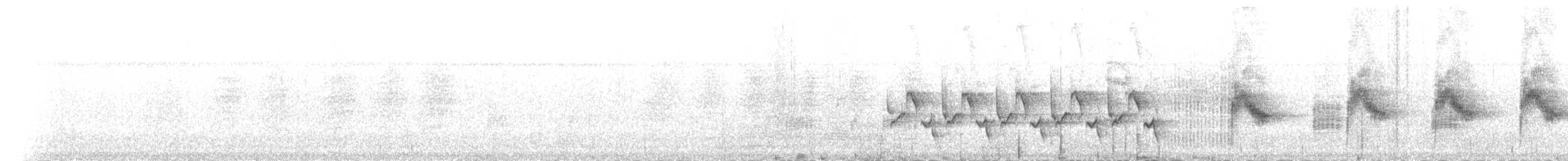 Каролинский крапивник (albinucha/subfulvus) - ML80827551