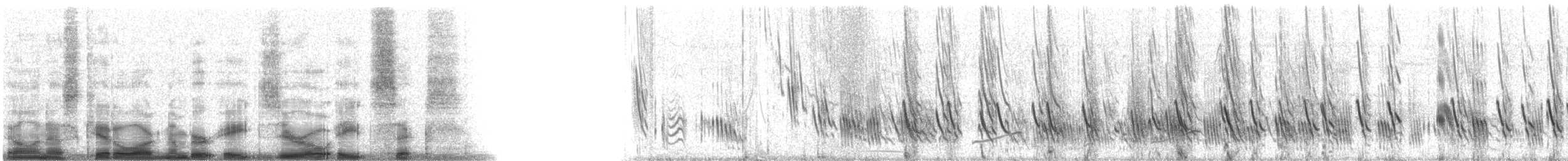 Büyük Mor Kırlangıç - ML8086