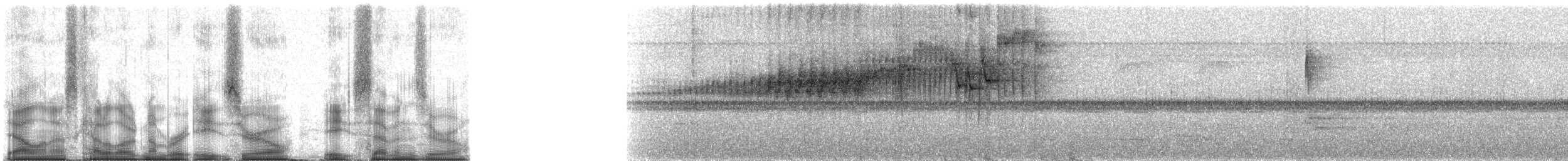 Three-striped Warbler (auricularis) - ML80870