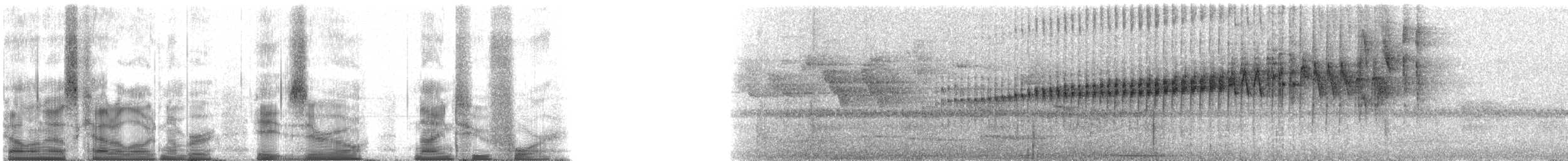 Üç Şeritli Ötleğen (auricularis) - ML80924