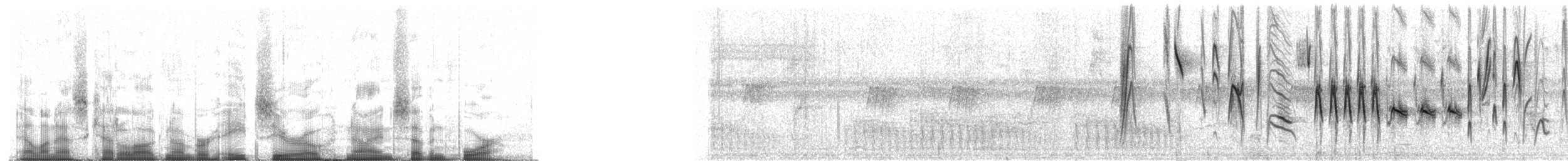 oransjekroneeufonia - ML80974