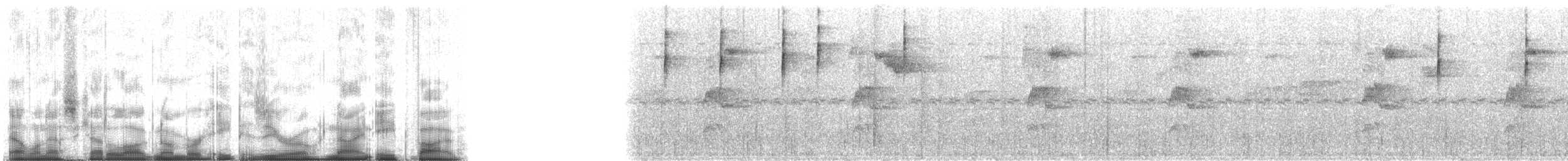 Three-striped Warbler (daedalus) - ML80985