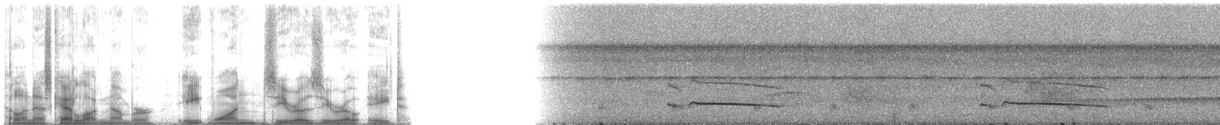 Cinnamon Attila - ML81008