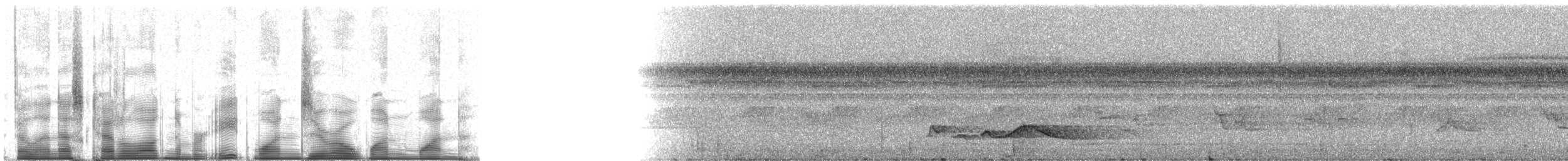 Slate-colored Grosbeak - ML81011