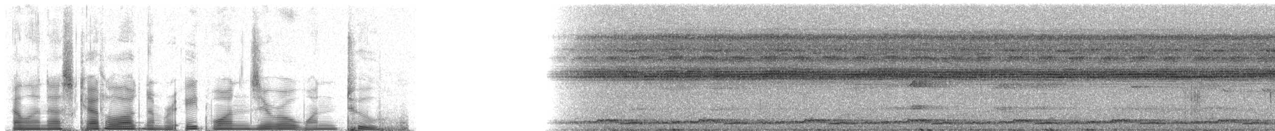 Marbled Wood-Quail - ML81012