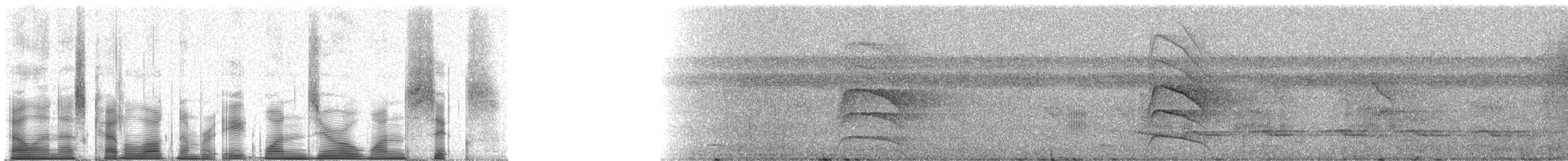 Большой бентеви, кискади - ML81016