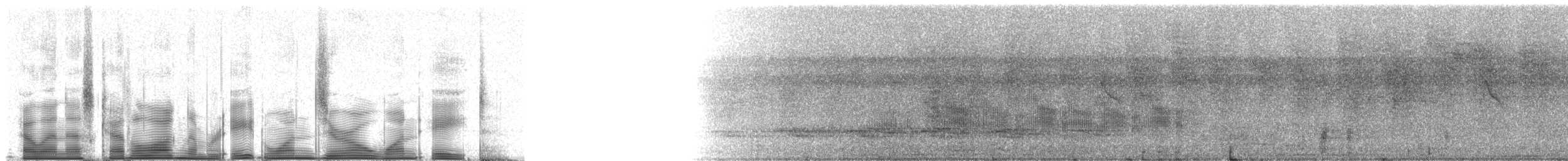 Black-tailed Tityra (Western) - ML81018