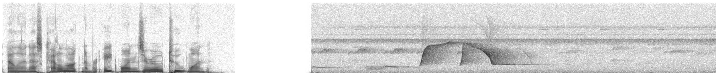 Screaming Piha - ML81021