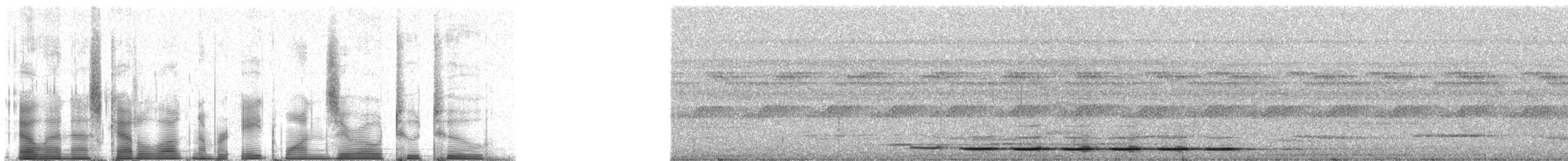 Равнинная мирмотера - ML81022