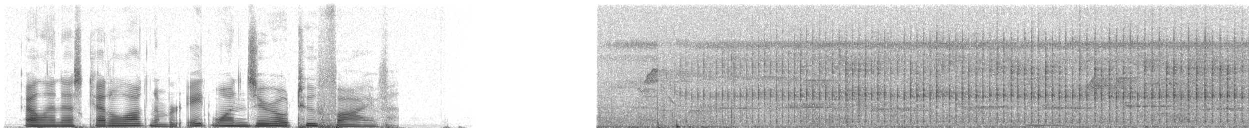 Common Squirrel-Cuckoo (Middle American) - ML81025