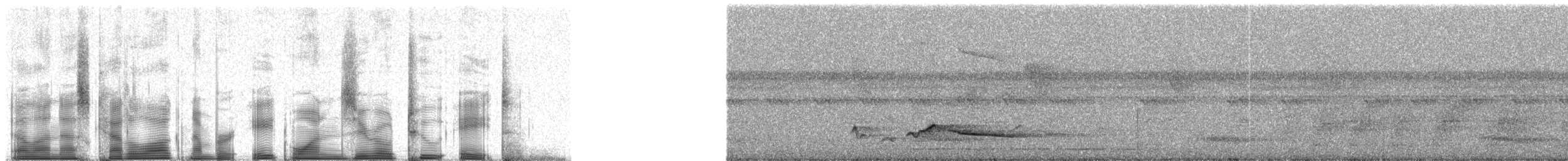 Slate-colored Grosbeak - ML81028