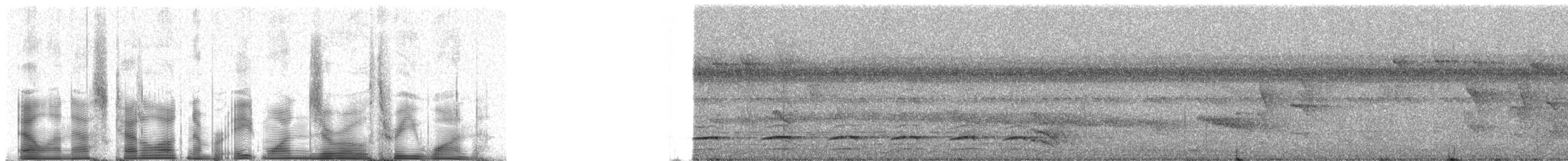 Plain-winged Antshrike - ML81031