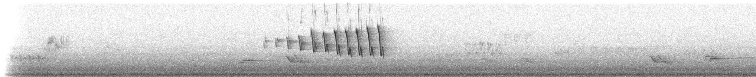 Wilson's Warbler - ML81127031