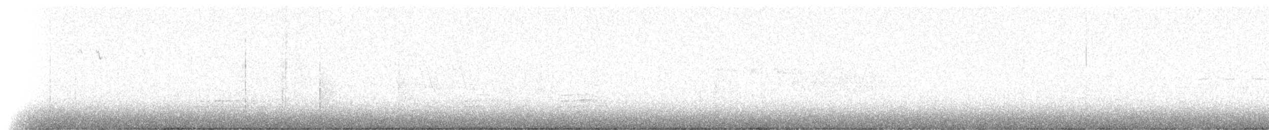 Black-backed Woodpecker - ML81134791