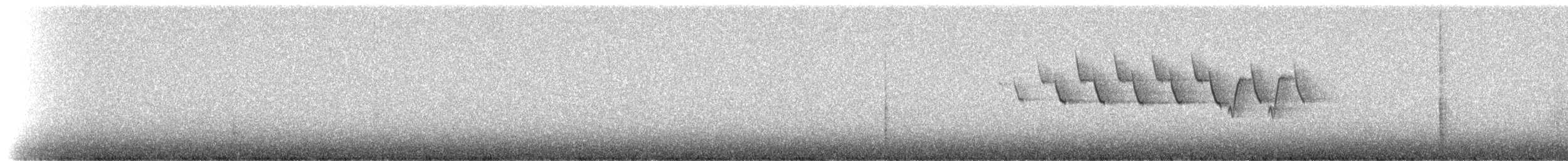 Nashville Warbler - ML81135461