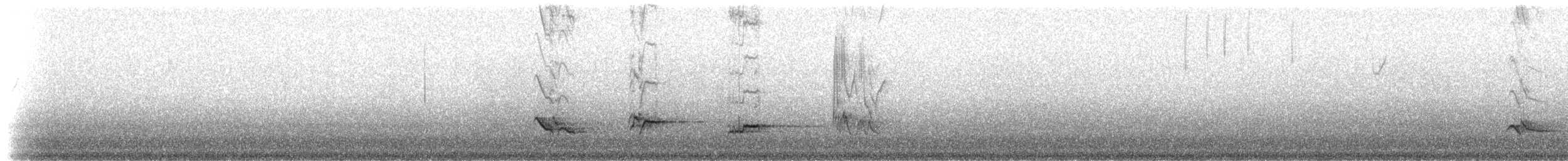 American Robin - ML81137601