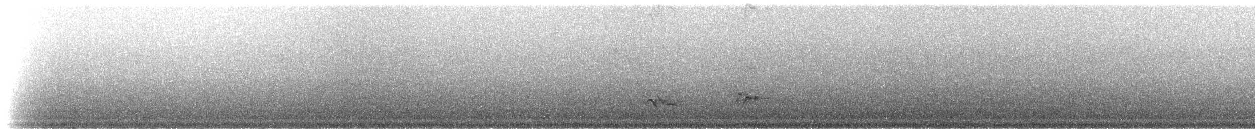 American Robin - ML81137981