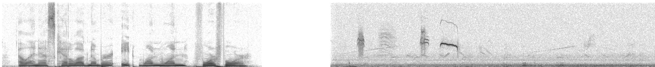 Southern Beardless-Tyrannulet (Peruvian) - ML81144