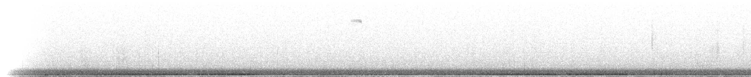 holub kanárský - ML81144961