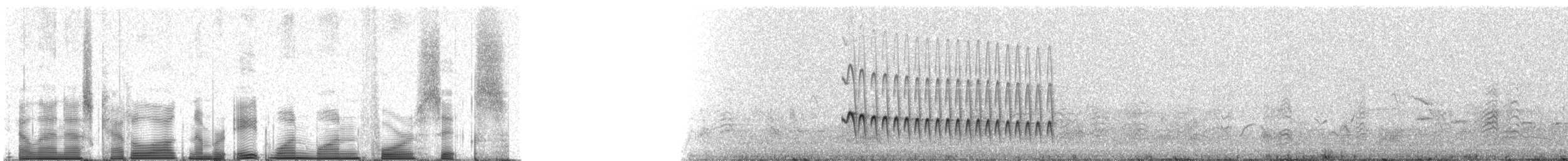 Streak-headed Woodcreeper - ML81146