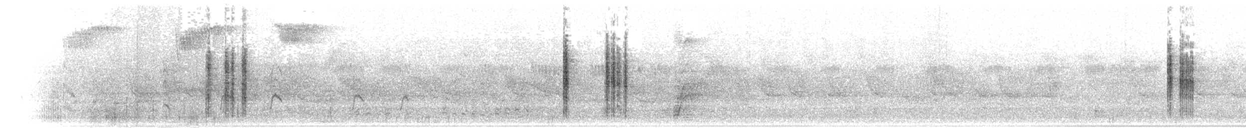 Rousserolle effarvatte (groupe baeticatus) - ML81147221