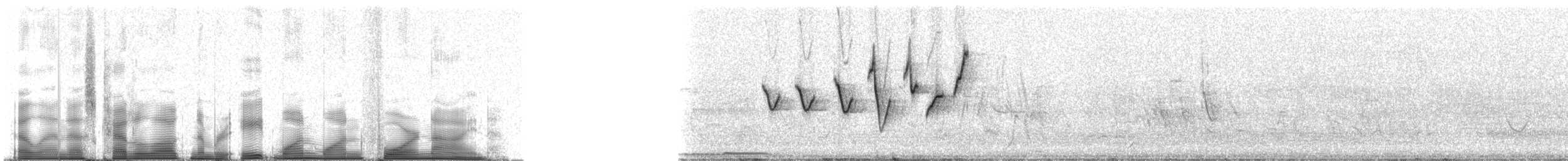 Chestnut-throated Seedeater - ML81149