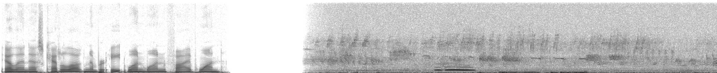 holub bledočelý (ssp. decolor) - ML81151