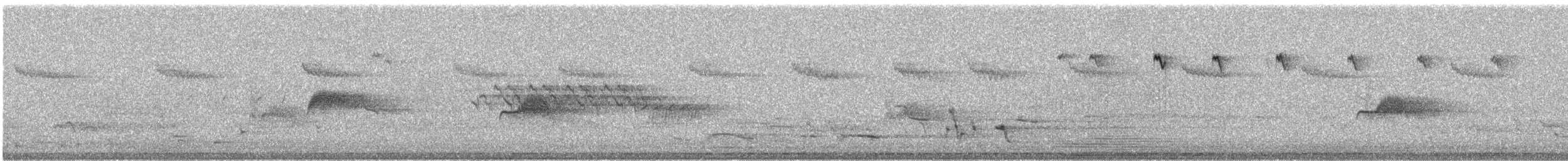 Brown Creeper - ML81151841