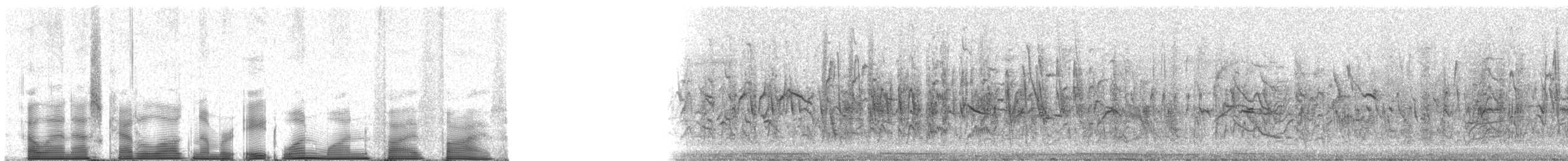 čížek jihoamerický - ML81155