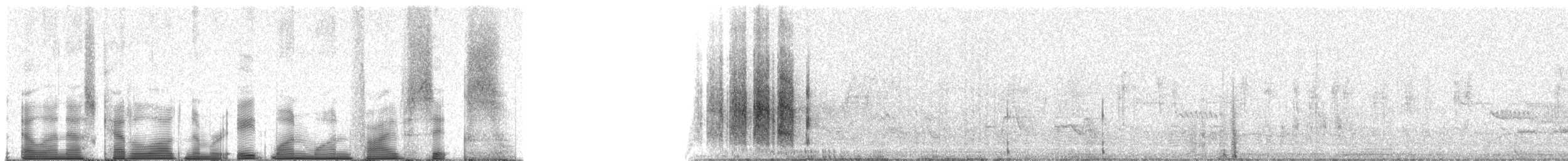 Pacific Hornero - ML81156