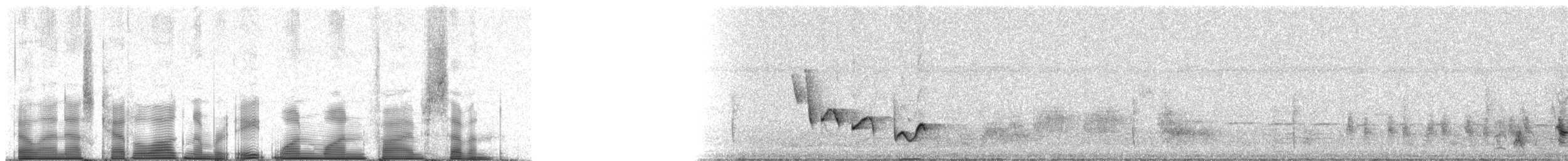 střízlík bělobrvý - ML81157