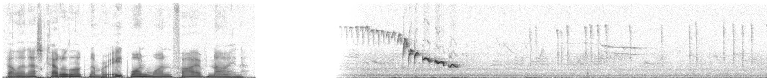střízlík bělobrvý - ML81159