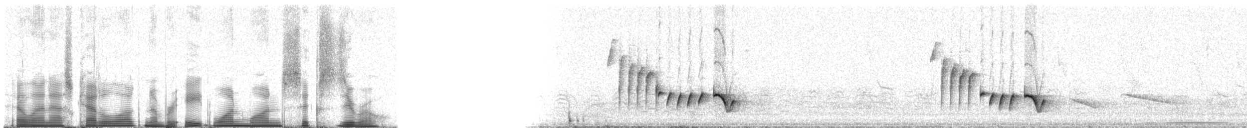 střízlík bělobrvý - ML81160